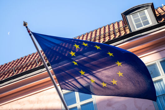 Parterna tar plats i ny EU-grupp