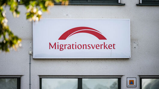 81 yrken föreslås slippa lönekrav för arbetskraftsinvandrare