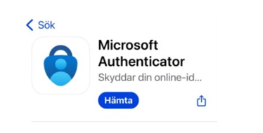Ritad bild med fyra rutor med personer på en datorskärm.