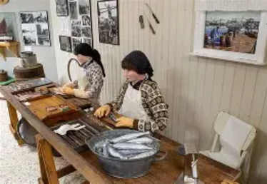 https://kladesholmen.com/att-gora/museum/