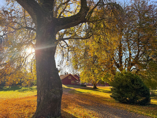 Sverige–Norden–Världen. Foto: Linnea Johansson