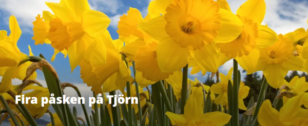 Fira påsken på Tjörn