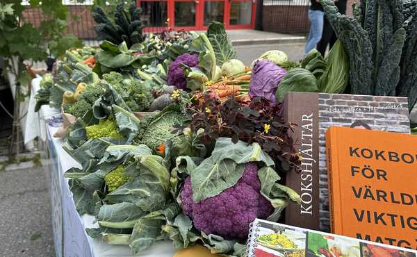 Måltidsenhetens färgsprackande buffée av grönsaker på Tyresöfestivalen