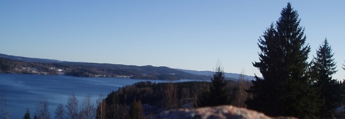 Vy över en sjö med omgivande barrskog en solig vinterdag.