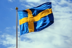 Flagga