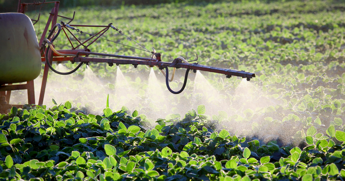 Besprutning av grödor på fält i soligt väder.