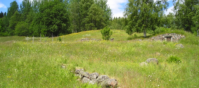 Idyllisk sommaräng med stenmur och träd i bakgrunden.
