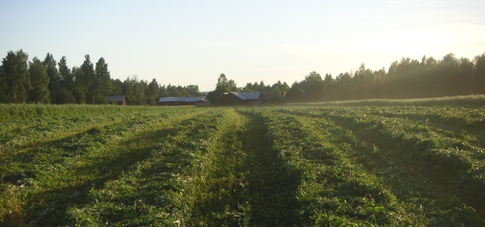 Skördad vall med solig lantgård i bakgrunden.