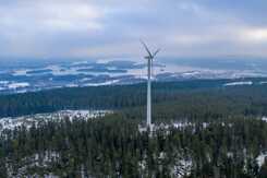 Vindkraft i skog