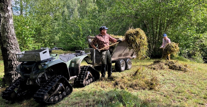 Två personer arbetar med att lasta gräs på ett terrängfordon i en buskbeklädd äng