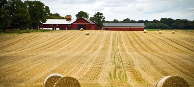 Åker med halmbalar framför röda ladugårdar på ett lantbruk..