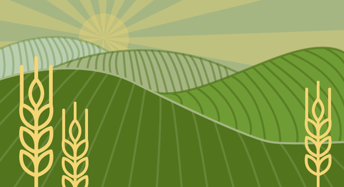 Grafisk bild av ett kuperat landskap med gröna fält och gyllene ax mot en soluppgång.