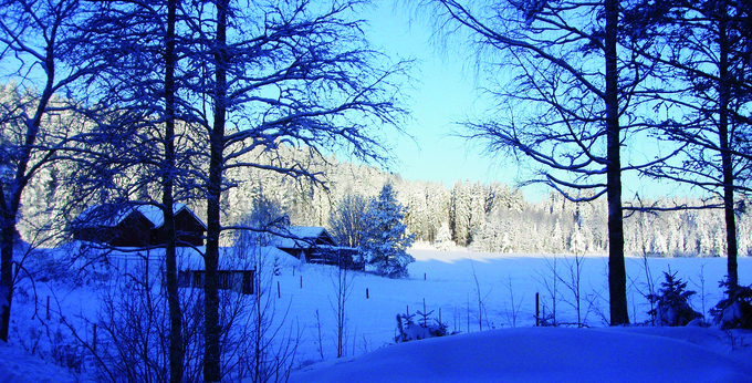 Snötäckt landskap med byggnader i bakgrunden