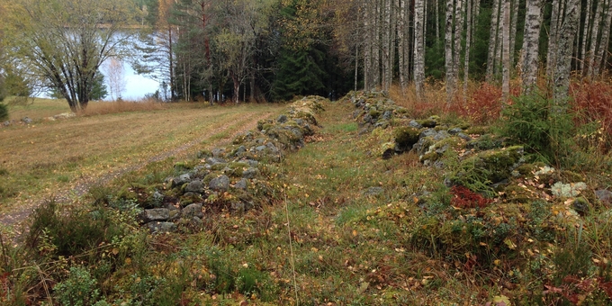 Höstligt landskap med gamla stenmurar mellan skog och gräsmark vid en sjö.