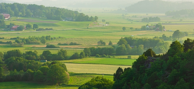 Gröna åkrar och skogsklädda kullar i ett lummigt landskap täckt av morgondimma