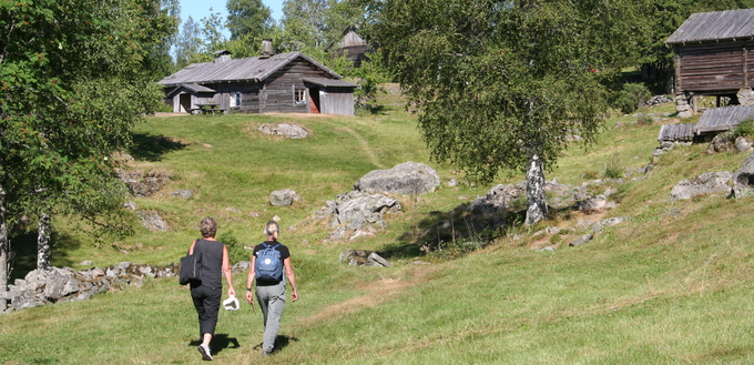 Två personer vandrar över en grön äng mot gamla timmerstugor i solsken