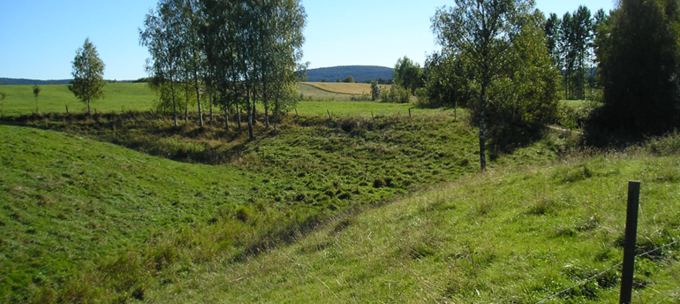 Grönt sommarlandskap med grässluttning, lövträd och blå himmel