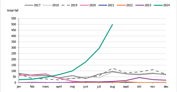 Diagram över antalet fall kikhosta 2017 till augusti 2024 som visar att antalet fall legat på normala nivåer fram tills i april för att därefter öka från ca 50 till 500 fall per månad. Källa är Folkhälsomyndigheten.