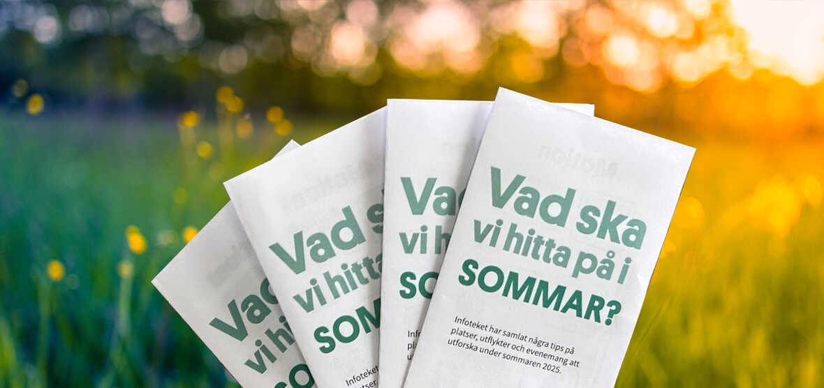 Broschyrer med sommartips i motljus med grönt naturligt landskap i bakgrunden.