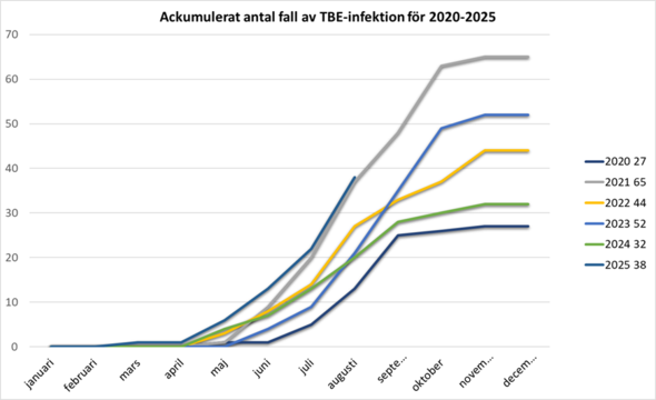 Linjediagram som visar ackumulerat antal fall av TBE-infektion från 2020 till 2025.