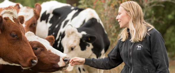 En kvinna hälsar på en flock kor. Foto: Q Image AB