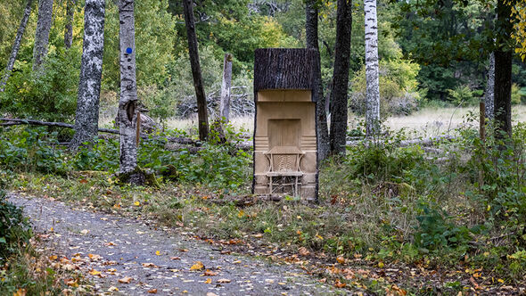 Skogsväg med trästol och promenadledsskyltar omgivna av höstlöv och björkträd.