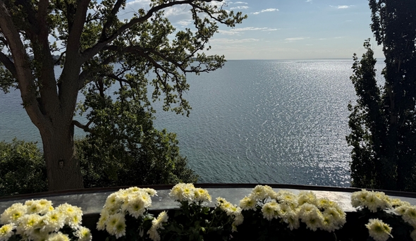 Utsikt från en balkong med blommor, träd nedanför samt glittrande vatten och blå himmel.