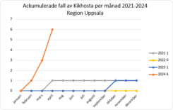 Linjediagram som visar ackumulerade fall av kikhosta per månad i Region Uppsala från 2021 till 2024.
