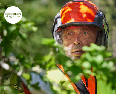 Man i skyddshjälm och hörselskydd bland gröna löv. Foto: Patrik Svedberg