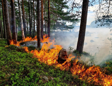 Naturvårdsbränning på tre biotopskyddade öar på sjön Viksjön i Gävle kommun. Foto: John Lindström