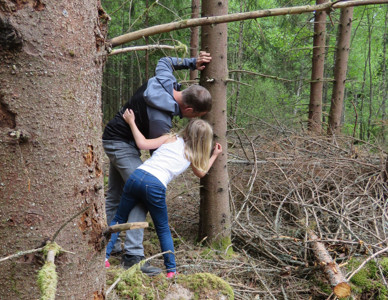 Far och dotter letar granbarkborreangrepp i skog i Kronoberg. Foto: Kerstin Ström