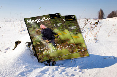 Tidningen Skogseko ligger i snön under en solig vinterdag.