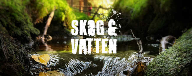Liten bäck omgärdad av grönt mossa och trädbelädda sidor, med texten "SKOG & VATTEN" i framträdande vit stil.