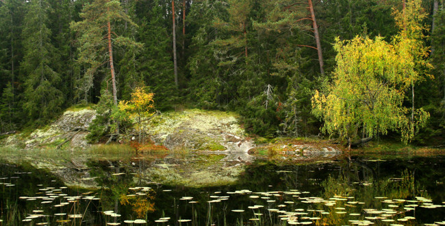 Foto: Mostphotos