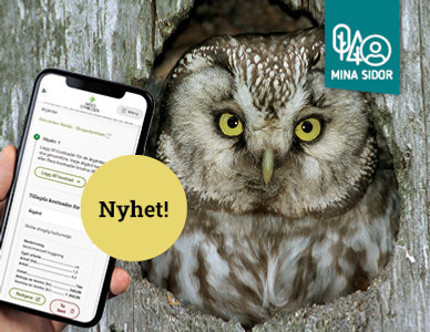Uggla i en trädhåla tittar på en mobiltelefon med appskärm, texten "Nyhet!" visas i en cirkel.