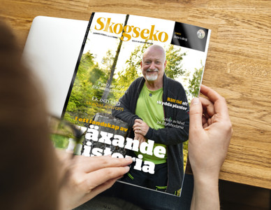 Person håller en tidningen Skogseko på ett träbord.