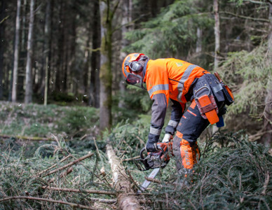 Skogarbetare i orangefärgad säkerhetsutrustning använder motorsåg för att kapa nedfallna grenar.  Foto: Yaman Albolbol