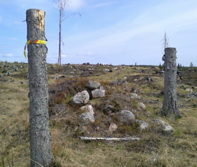  Foto: Cecilia Ulfhielm