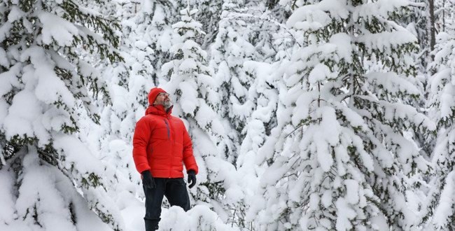  Foto: André Nyström