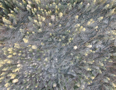  Foto: Magnus Martinsson