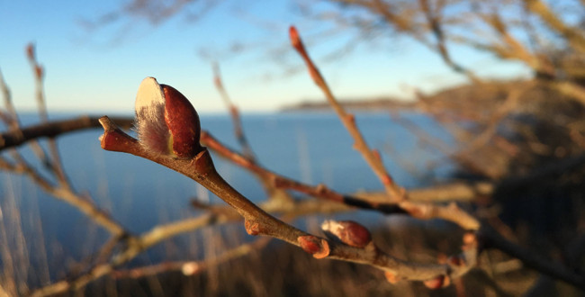  Foto: Martina Tedenborg