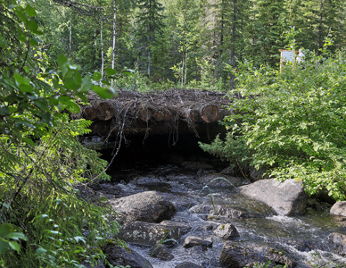 Timmerbro över vattendrag. Foto: Leif Milling