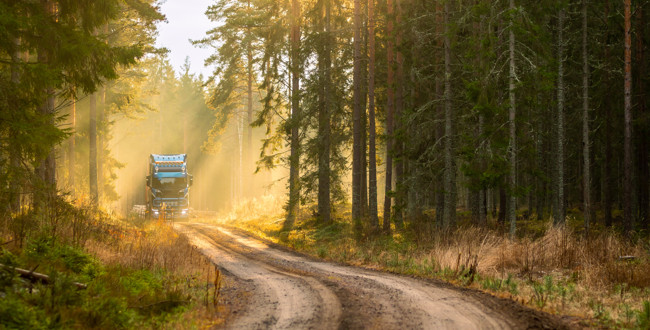 Lastbil på grusväg som kör genom solsken i tät skog. Foto: @ Bolldozer