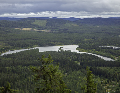 Utsikt över sjö och skog från Stalonberget i Västerbotten. Foto: Mostphotos Utsikt över sjö och skog från Stalonberget i Västerbotten. Foto: Mostphotos