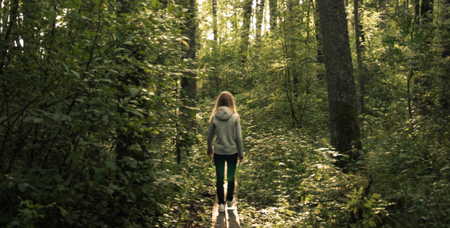 Person sedd bakifrån som går på spång genom grön skog i dämpat dagsljus.