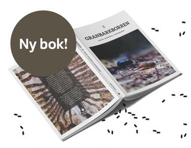 Öppen bok med bilder och text om granbarkborren.