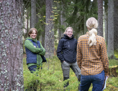 Tre personer i friluftskläder som samtalar i en granskog. Foto: Camilla Zilo