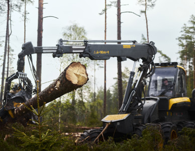 Skogsmaskin lyfter en avverkad trädstam i stormfälld barrskog. Foto: Martin Hèrma/En Produktionsbyrå