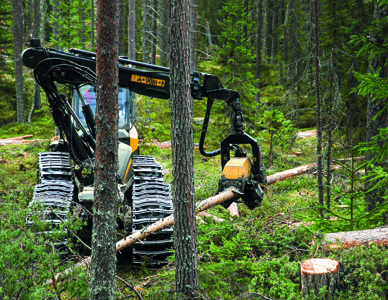 Skogsmaskin som avverkar träd i hyggesfri skog. Foto: Bo Persson Skogsmaskin som avverkar träd i hyggesfri skog. Foto: Bo Persson