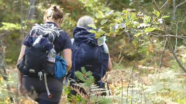 Två personer vandrar i en skog under hösten.